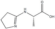 Alanine, N-(3,4-dihydro-2H-pyrrol-5-yl)- (6CI) CAS#: 98336-89-1
