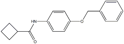 Cyclobutanecarboxylic acid (4-benzyloxy-phenyl)-aMide CAS#: 925605-98-7