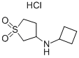 Cyclobutyl-(1,1-dioxo-tetrahydrothiophen-3-yl)-amine hydrochloride CAS#: 915402-20-9
