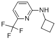 Cyclobutyl-(6-trifluoromethyl-pyridin-2-yl)-amine CAS#: 939809-66-2