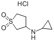 Cyclopropyl-(1,1-dioxo-tetrahydrothiophen-3-yl)-amine hydrochloride CAS#: 915402-17-4
