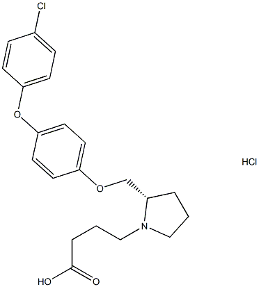 DG 051 (HCl salt) CAS#: 929915-58-2