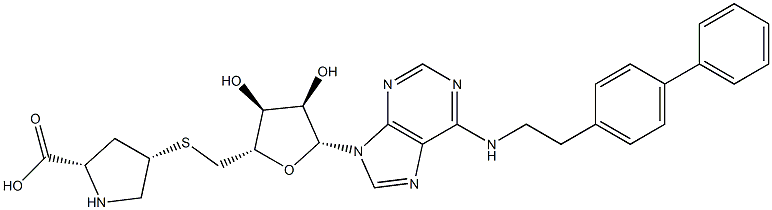 DNMT3b2 7a INHIBITOR CAS#: 901775-98-2