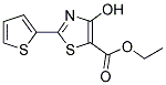 ETHYL 4-HYDROXY-2-(2-THIENYL)-1,3-THIAZOLE-5-CARBOXYLATE CAS#: 924869-00-1