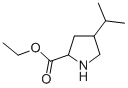 ETHYL 4-ISOPROPYL-2-PYRROLIDINECARBOXYLATE CAS#: 99176-42-8