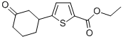 ETHYL 5-(3-OXOCYCLOHEXYL)-2-THIOPHENECARBOXYLATE CAS#: 909421-70-1