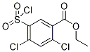 Ethyl 2,4-dichloro-5-(chlorosulfonyl)benzoate CAS#: 924859-49-4
