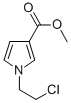 METHYL 1-(2-CHLOROETHYL)-1H-PYRROLE-3-CARBOXYLATE CAS#: 952182-31-9