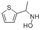 N-(1-THIOPHEN-2-YL-ETHYL)-HYDROXYLAMINE CAS#: 904818-25-3