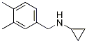 N-(3,4-diMethylbenzyl)cyclopropanaMine CAS#: 936023-14-2