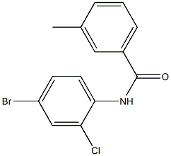 N-(4-BroMo-2-chlorophenyl)-3-MethylbenzaMide, 97% CAS#: 902092-48-2