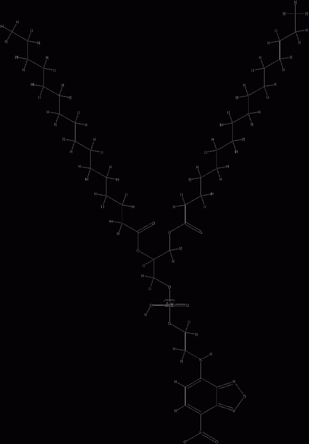N-4-nitrobenzo-2-oxa-1,3-diazoledipalmitoyl phosphatidylethanolamine CAS#: 99684-86-3
