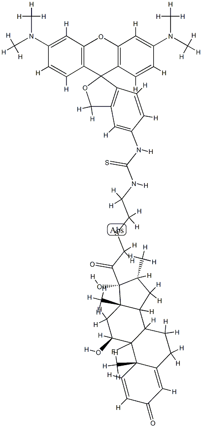 N-(dexamethasone 21-S-ethyl-2'-amino)tetramethylrhodamine CAS#: 99143-17-6