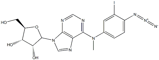 N(6)-(3-iodo-4-azidobenzyl)adenosine CAS#: 98849-99-1