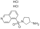 (S)-1-(Isoquinoline-5-sulfonyl)-pyrrolidin-3-ylamine dihydrochloride CAS#: 936233-12-4