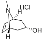 Tropenol hydrochloride CAS#: 99709-24-7