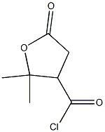 Valeric acid, 3-(chloroformyl)-4-hydroxy-4-methyl-, gamma-lactone (6CI) CAS#: 98546-95-3