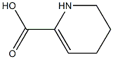 delta(2)-piperidine-2-carboxylic acid CAS#: 99839-26-6