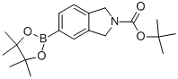 tert-butyl 5-(4,4,5,5-tetramethyl-1,3,2-dioxaborolan-2-yl)isoindoline-2-carboxyl CAS#: 905273-91-8