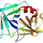 מבנה Enterkominase EC רקומביננטי 3.4.21.9 CAS 9017-74-8