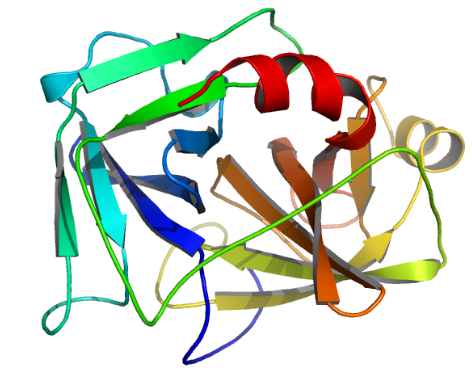 Estructura de la enteroquinasa recombinante EC 3.4.21.9 CAS 9017-74-8