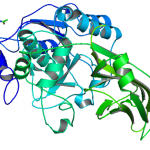 Estructura de la proteasa recombinante Kex2 EC 3.4.21.61 CAS UENA-0188