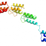 Struktur des rekombinanten Proteins G CAS UENA-0187