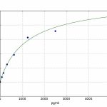 Anti-CKMB antibody in ELISA