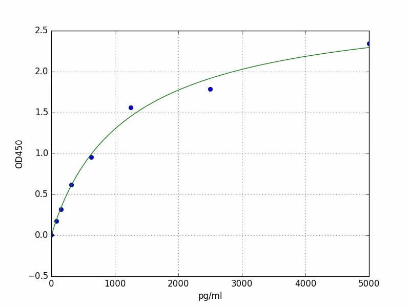 Anticorpo anti-CKMB in ELISA