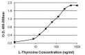 Anticorpo anti-tiroxina T4 in ELISA