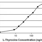 Anticorps Thyroxine T4 en ELISA