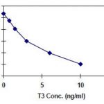 Zestaw do oznaczania ilościowego trijodotyroniny T3 ELISA