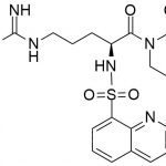 Argatroban Impurity 81 CAS#: 74863-84-681