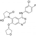 Afatinib Impurità 89 N. CAS: 439081-18-289