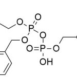 Aprepitant Impurity 53 CAS#: 170729-80-353