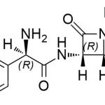 아목시실린 CAS # : 26787-78-0