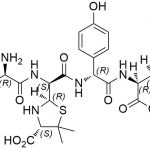 Amoxicillin Impurity K CAS#: 26787-78-010