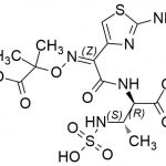 Aztreonam Impurity 10 CAS#: 87500-74-1۔