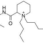 Bupivacaine Impurity 9 CAS#: 852669-91-1