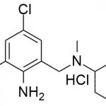 Impureza de cloridrato de bromexina Tb CAS #: 1660957-96-9