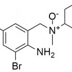 N-оксид бромгексина CAS #: 611-75-62