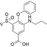 Bumetanide Aminobenzoic Acid CAS#: 28395-03-1