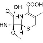 Cefoxitin Open Ring Impurity CAS#: 35607-66-011