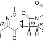 Cefotaxime অপবিত্রতা বি CAS#: 66340-28-1