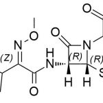 Cefotaxime EP Impurity C CAS#: 66403-32-5