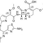 Impureza Cefotaxima EP G CAS #: 63527-52-67