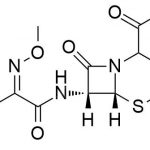 Impureza Cefotaxima K CAS #: 63527-52-610