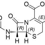 Cefaclor CAS-Nr .: 70356-03-5