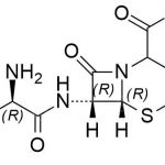 Cefaklor EP Zanieczyszczenie G Nr CAS: 70356-03-57