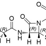 Cefaclor-Doppelbindungsverunreinigung 9 CAS#: 70356-03-59